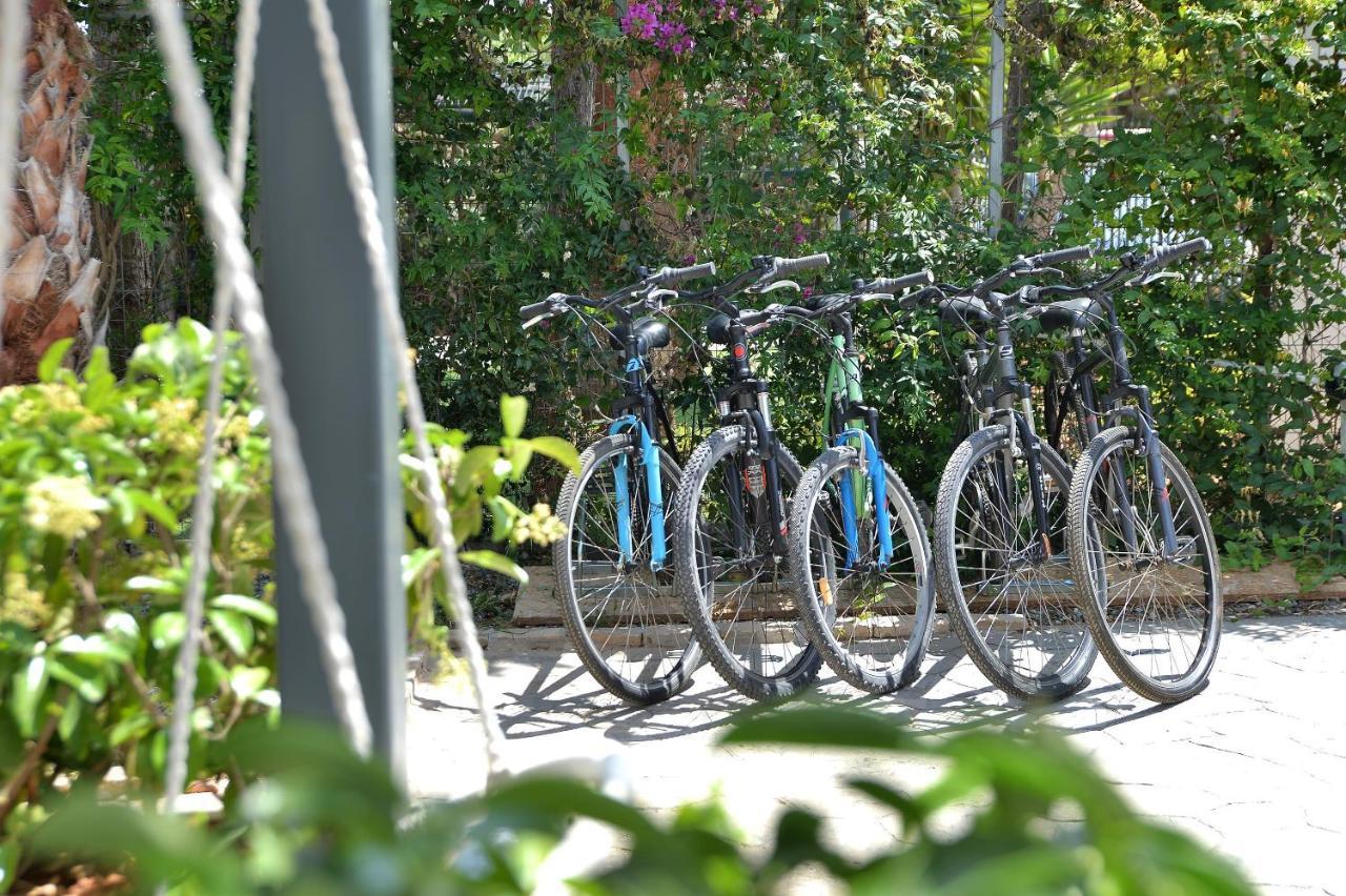 Alekos Luxury Suites Free 24H Transportation From - To Airport Artemida  Exterior photo
